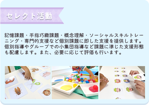 セレクト活動